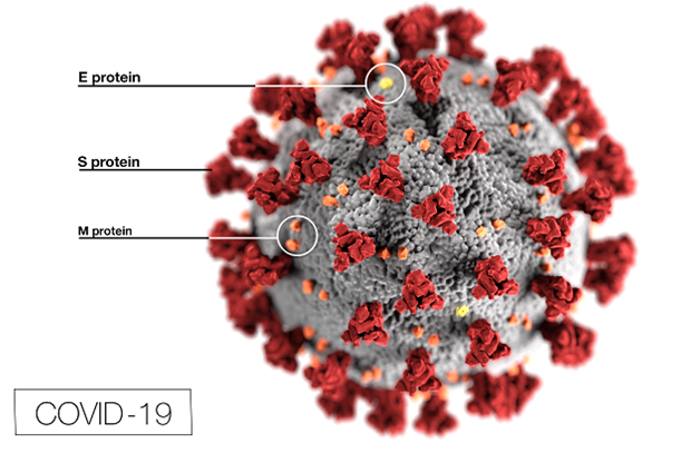 COVID-19-coronavirus-5