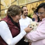 Por los que no tienen voz, Gobierno del Estado de México trabaja en una reforma integral para el bienestar animal