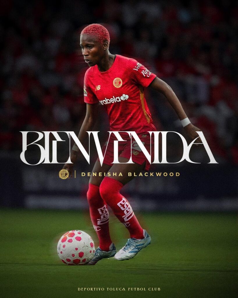 57e5dd65-1a3c-4c5b-8726-50f671b1a602