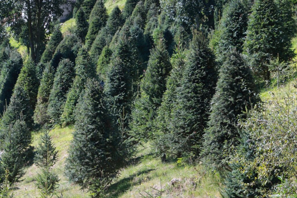 ebc5a7e8-3208-459c-a67f-beb83cc942a6