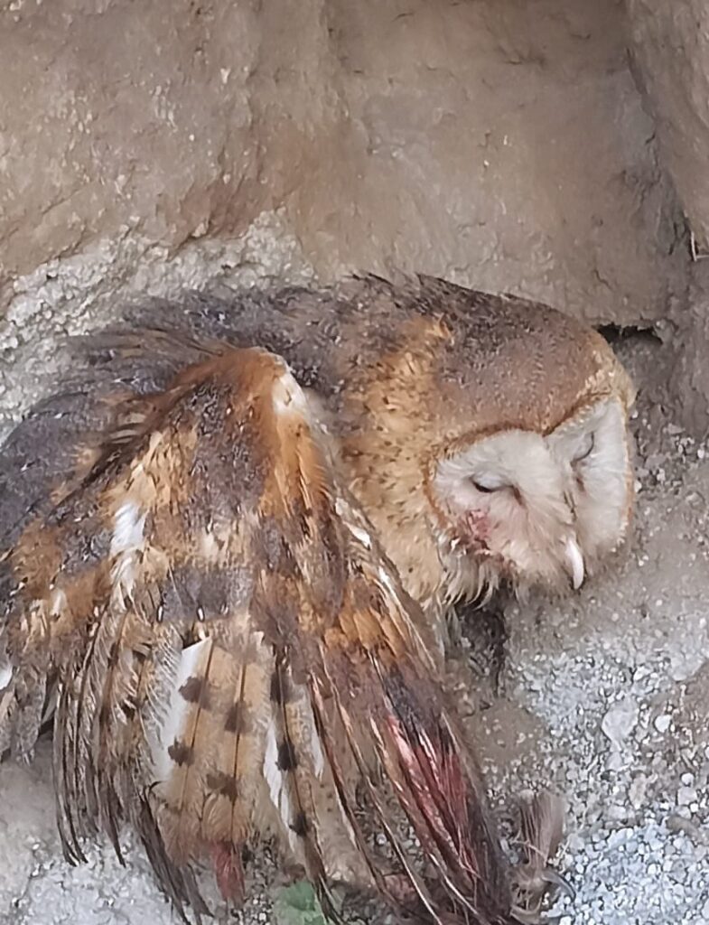 2a0f9b5a-3080-417f-8edd-7e07d0c07d1c