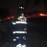 3f0390f7-3340-492a-a7ea-35065b665a36