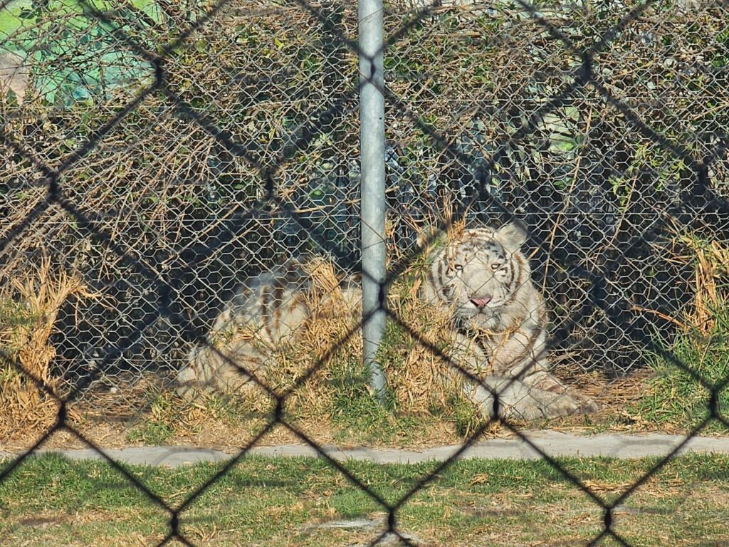 b9c4f8a2-d72f-46af-890e-b82169f81634