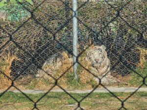 b9c4f8a2-d72f-46af-890e-b82169f81634