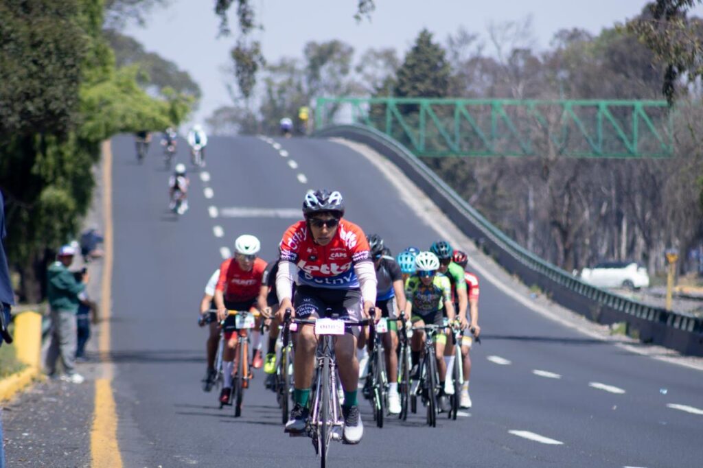 12fcc0e8-983a-4777-845f-0d6bd7998d30