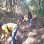 8aef87f6-ebc2-4d6e-b972-145bc22f3e0d