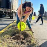 Participan servidores públicos en el mantenimiento del arbolado de Paseo Matlazincas