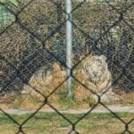 WhatsApp Image 2026-04-13 at 14.45.41