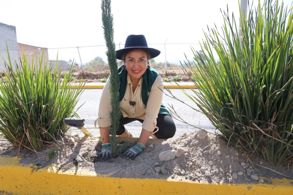 WhatsApp Image 2026-04-13 at 15.12.29