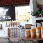 Edomex listo para recibir el Mundial 2026 con la Ruta del Mezcal y la Flor